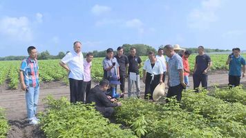 黑龙江省刺五加产销联动交流团到我县交流学习