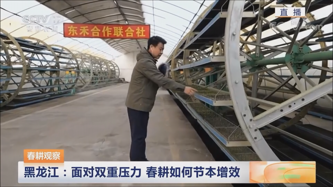 【媒体看庆安】央视农业农村频道对我县水稻春耕生产及“龙头企业+合作社”带动农户致富情况进行直播报道