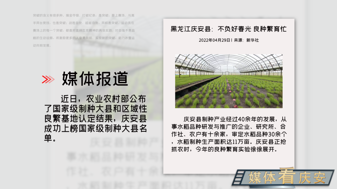 【媒体看庆安】新华社、央广网、黑龙江日报新媒体分别对我县上榜国家级制种大县名单和开展良种繁育进行报道