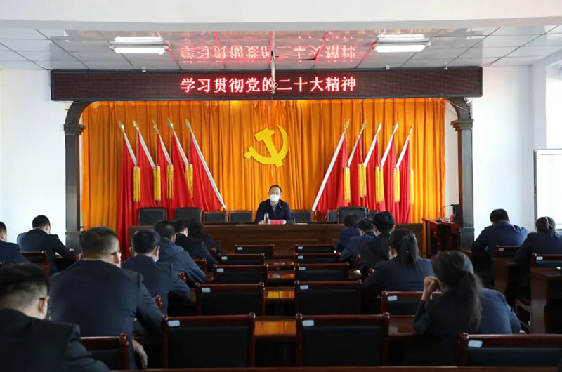 仇文会深入庆安镇宣讲党的二十大精神
