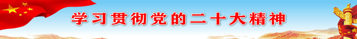 学习贯彻党的二十大精神